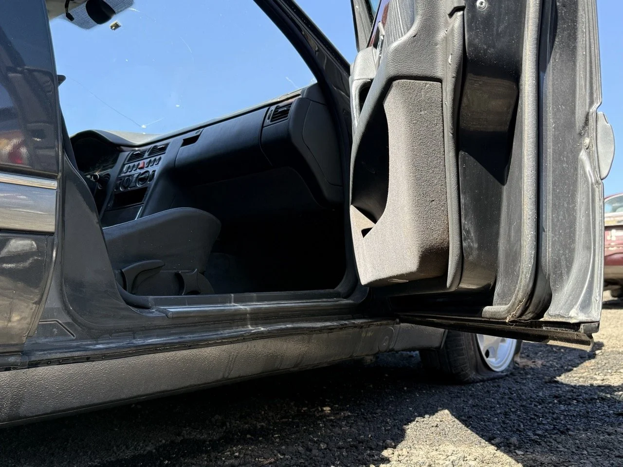 IMG_1758 – grande.jpeg