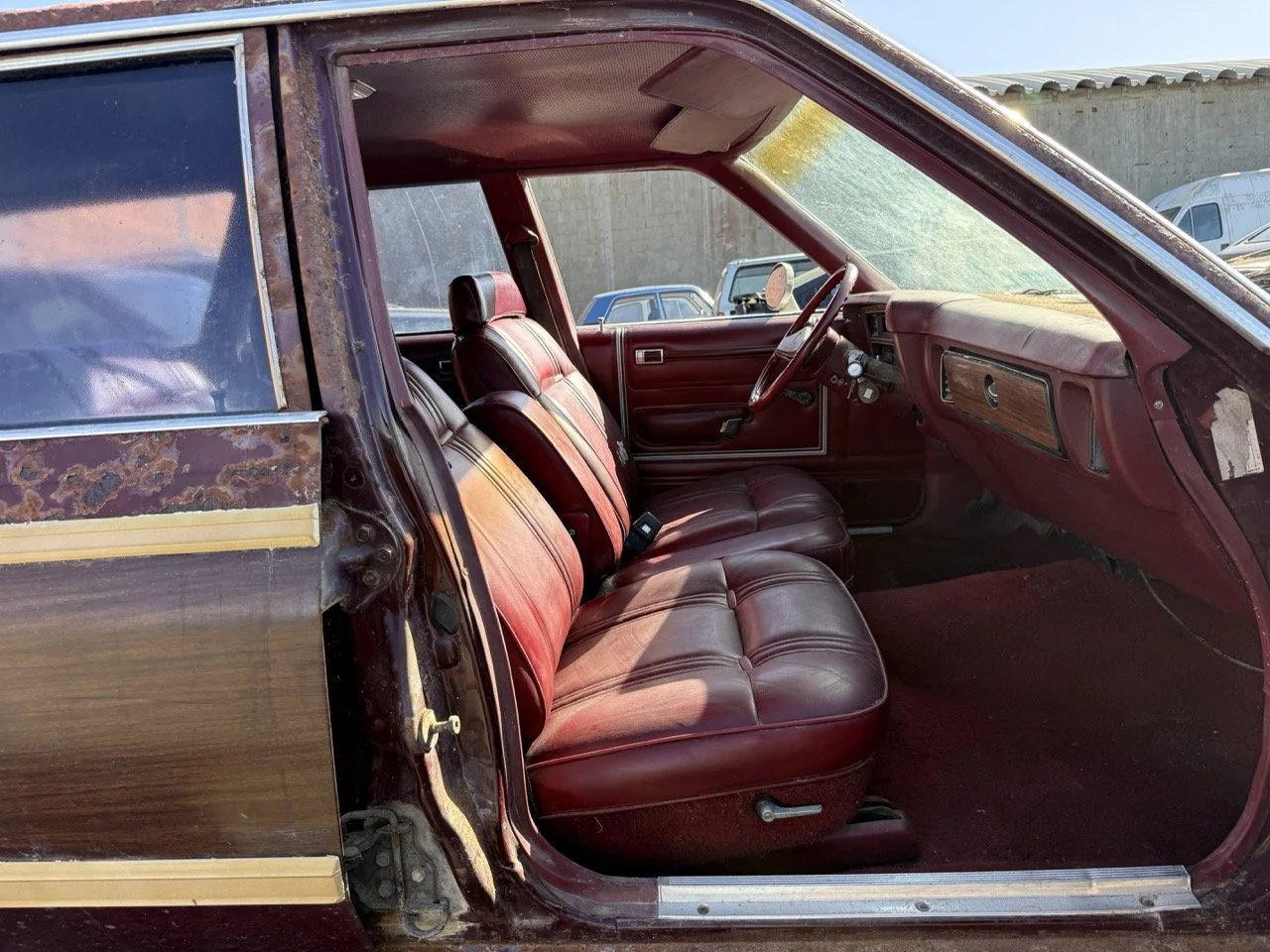 IMG_3029 – grande.jpeg