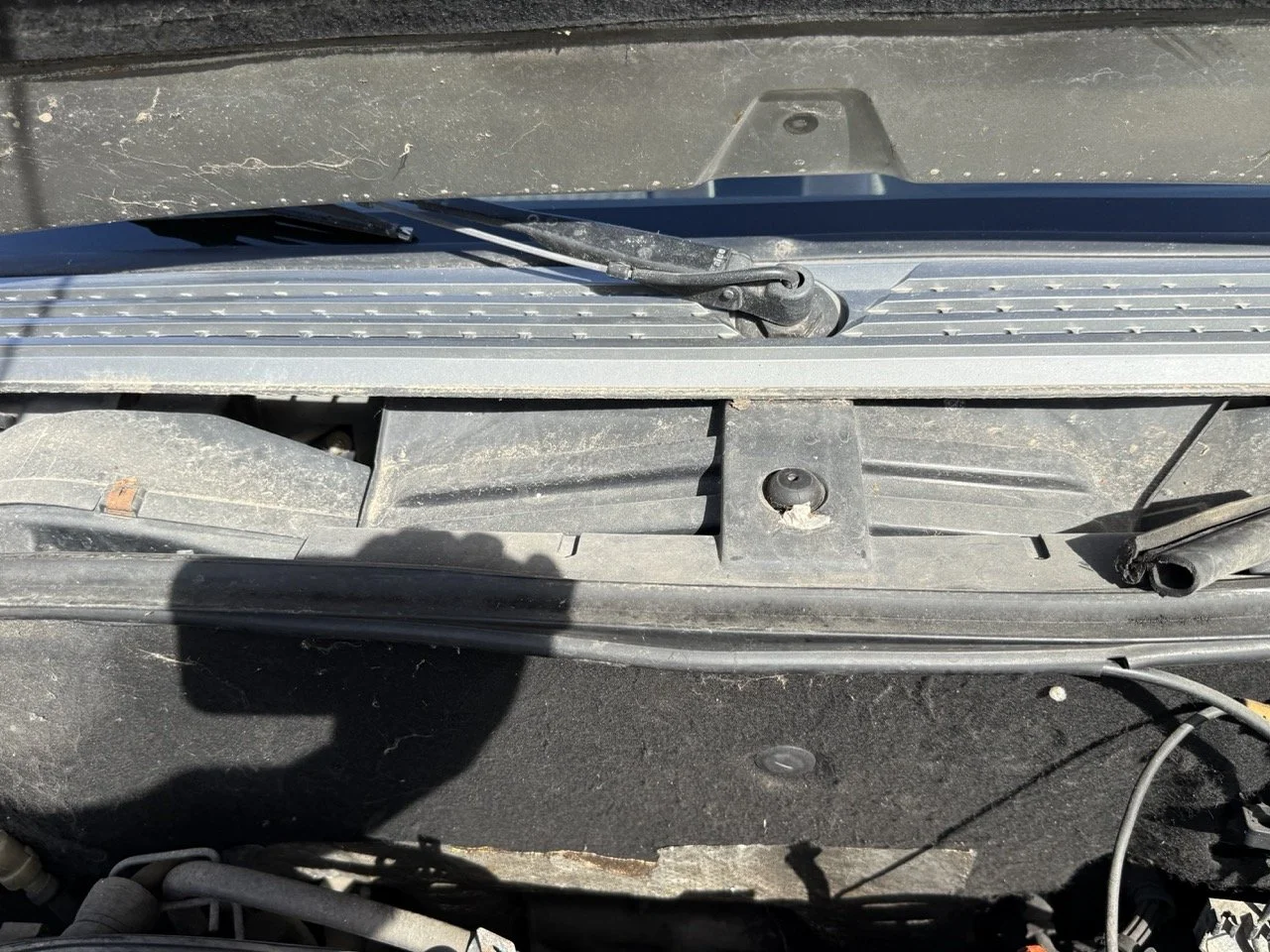 IMG_2603 – grande.jpeg