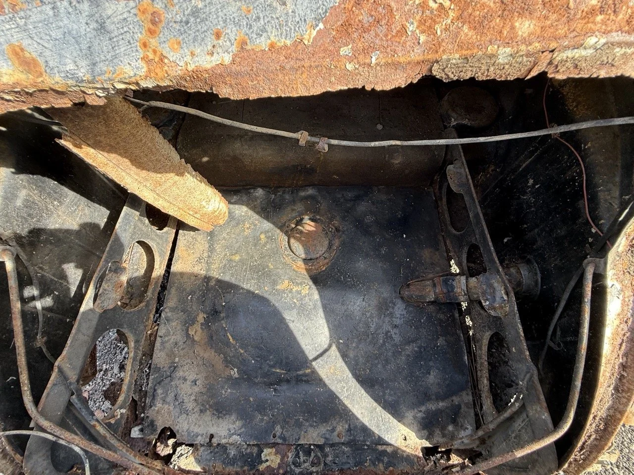 IMG_0426 – grande.jpeg