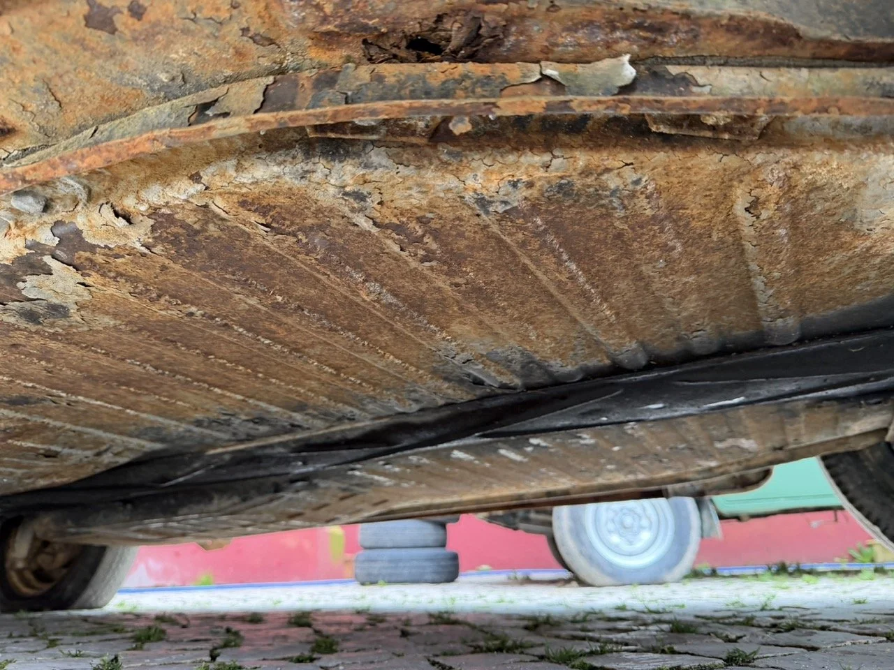 IMG_1232 – grande.jpeg