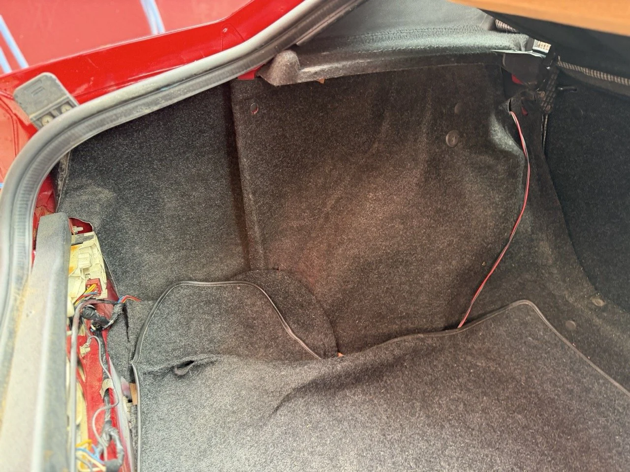 IMG_3494 – grande.jpeg