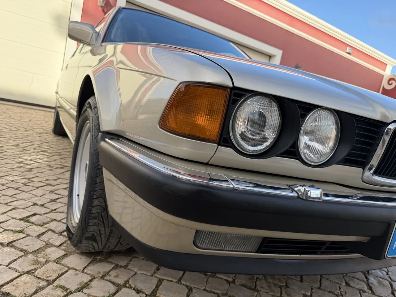 IMG_7012 2 – grande.jpeg