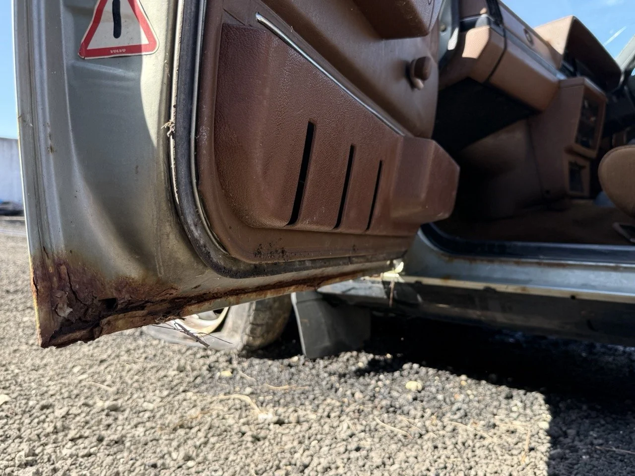 IMG_1178 – grande.jpeg