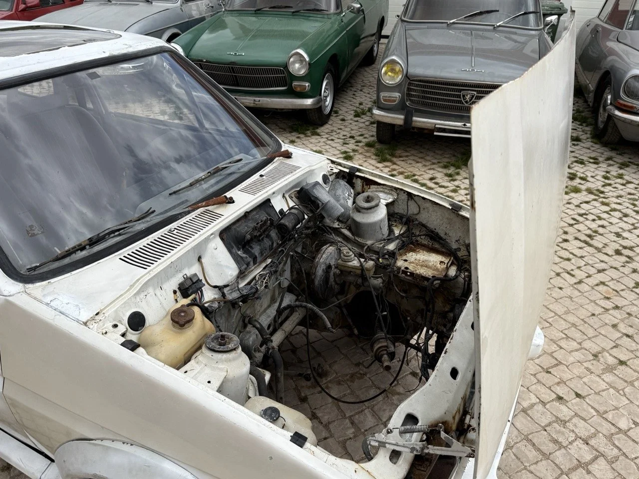 IMG_8537 – grande.jpeg