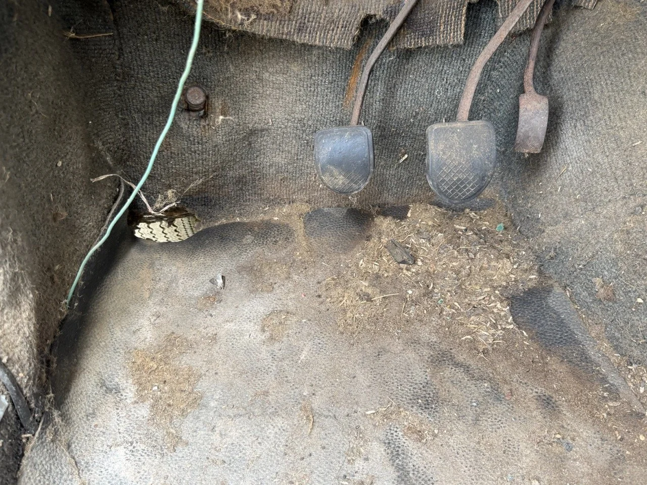 IMG_1386 – grande.jpeg