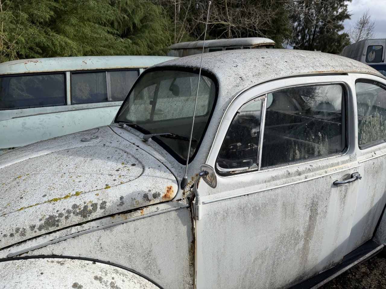 IMG_8591 – grande.jpeg