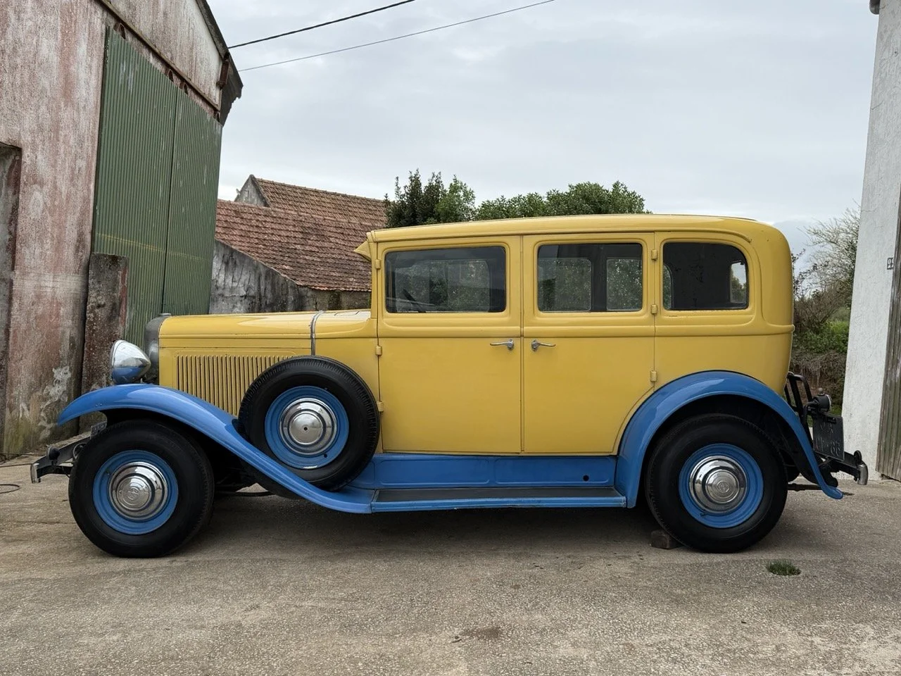 IMG_1499 – grande.jpeg