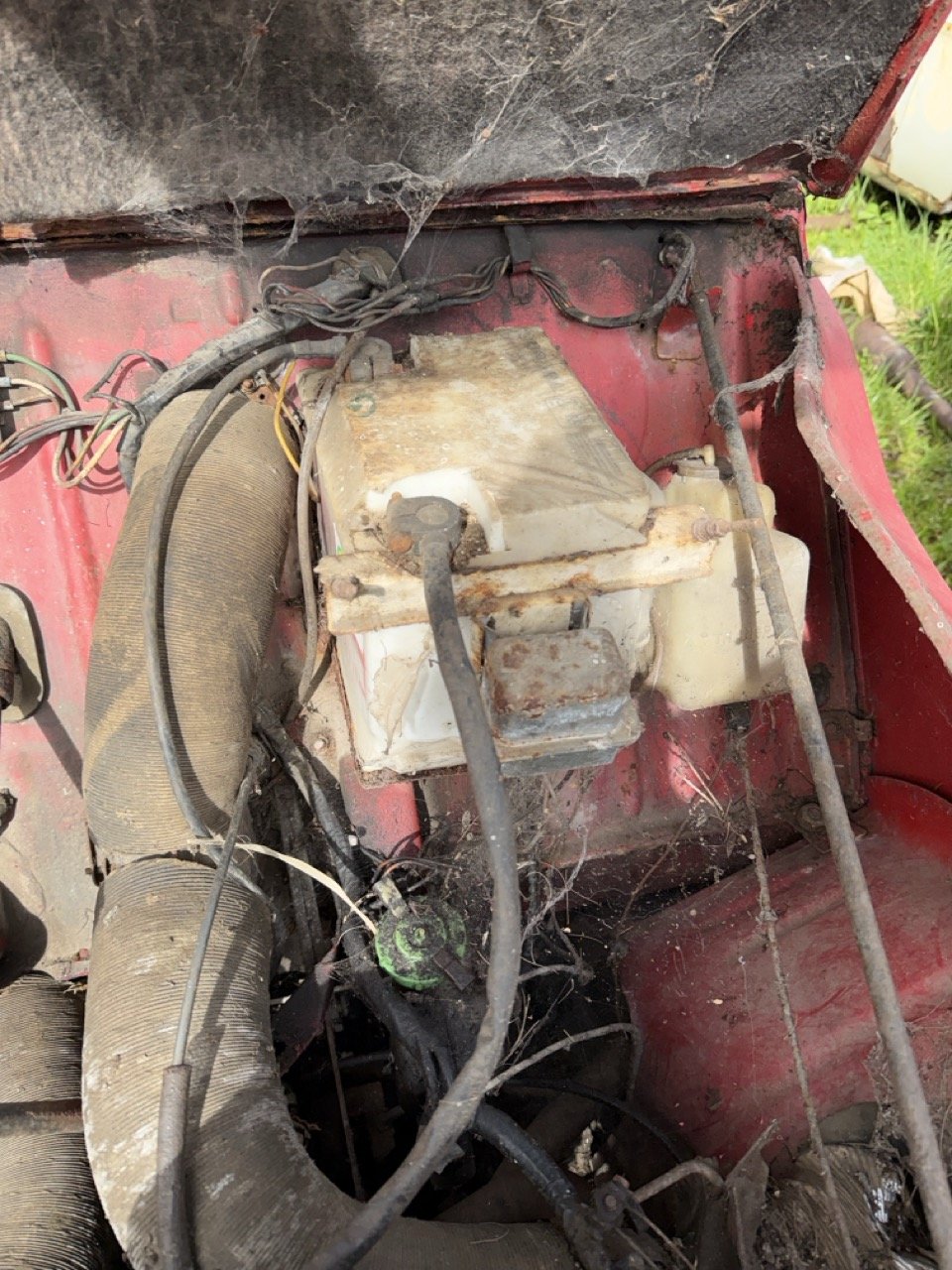 IMG_3864 – grande.jpeg