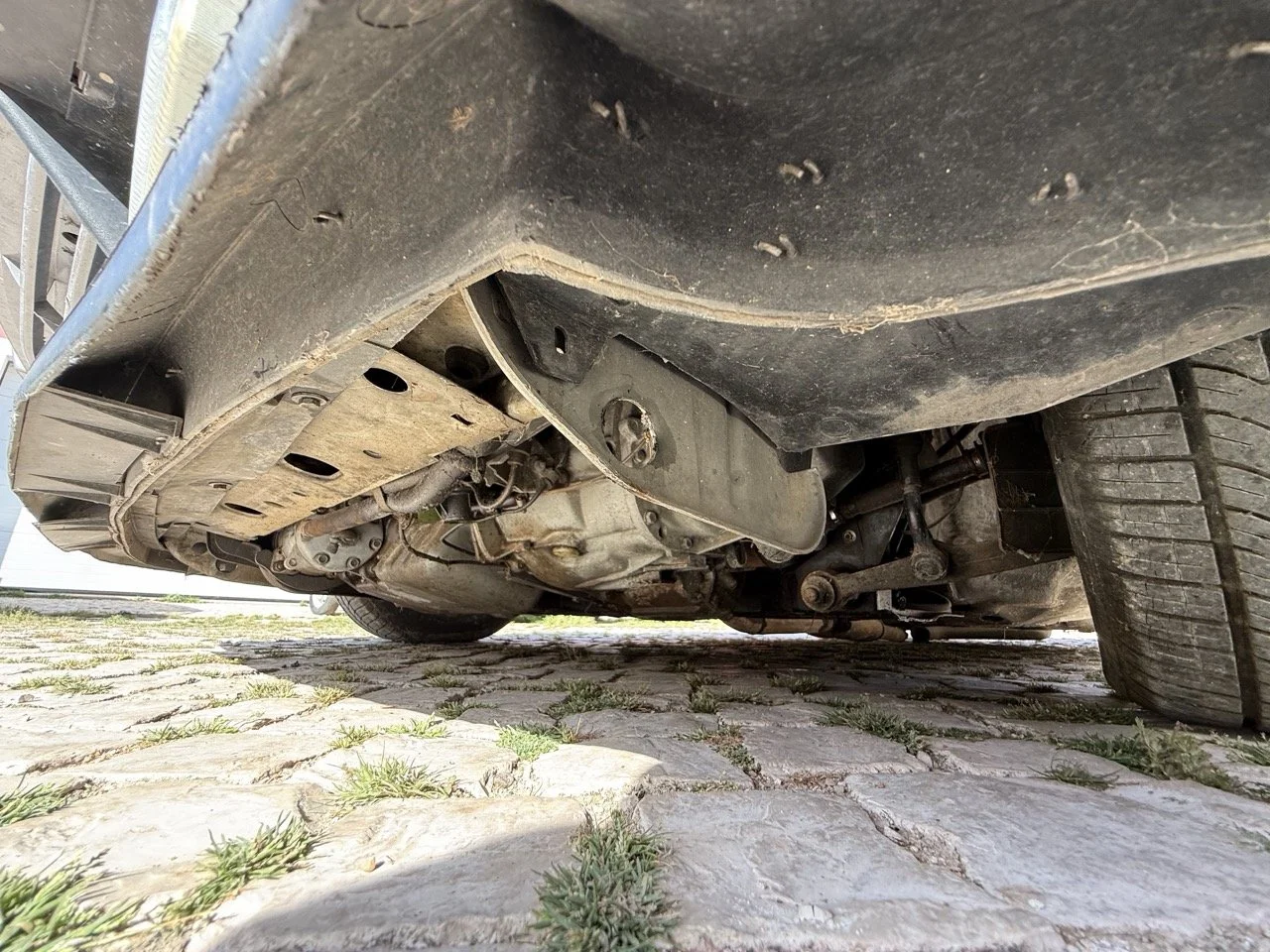 IMG_2637 – grande.jpeg