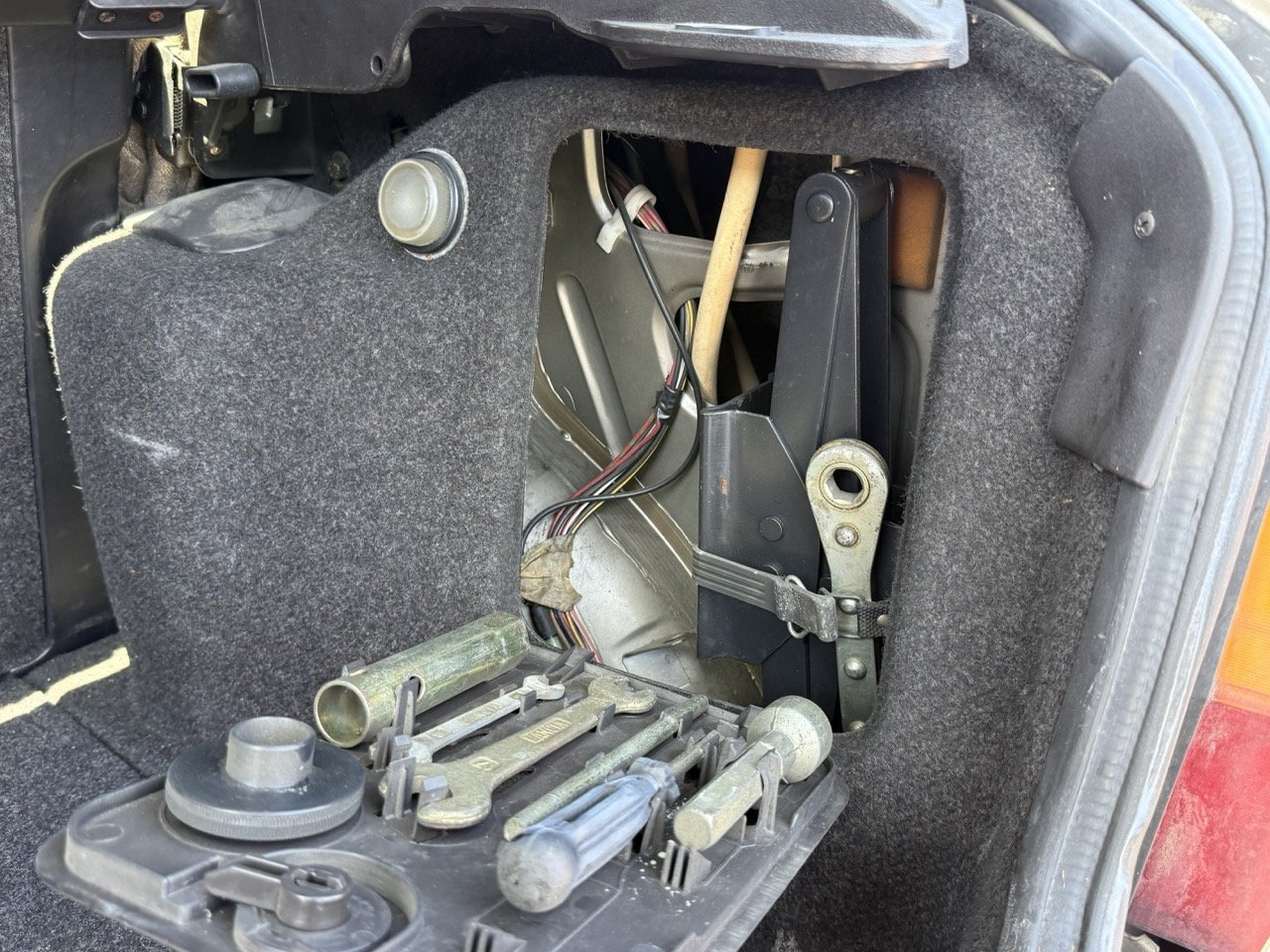 IMG_1932 – grande.jpeg