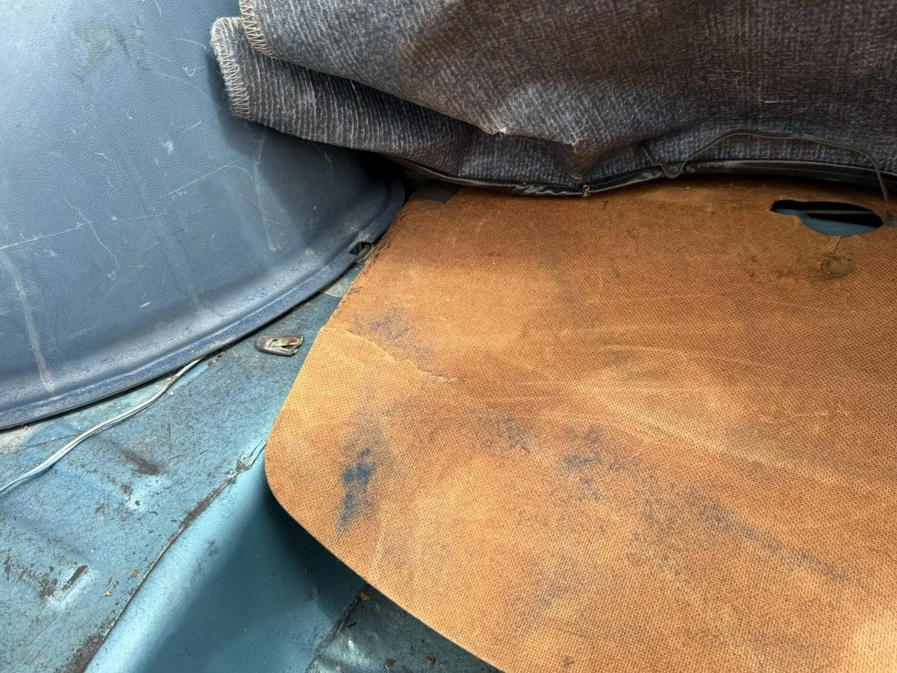 IMG_1535 – grande.jpeg