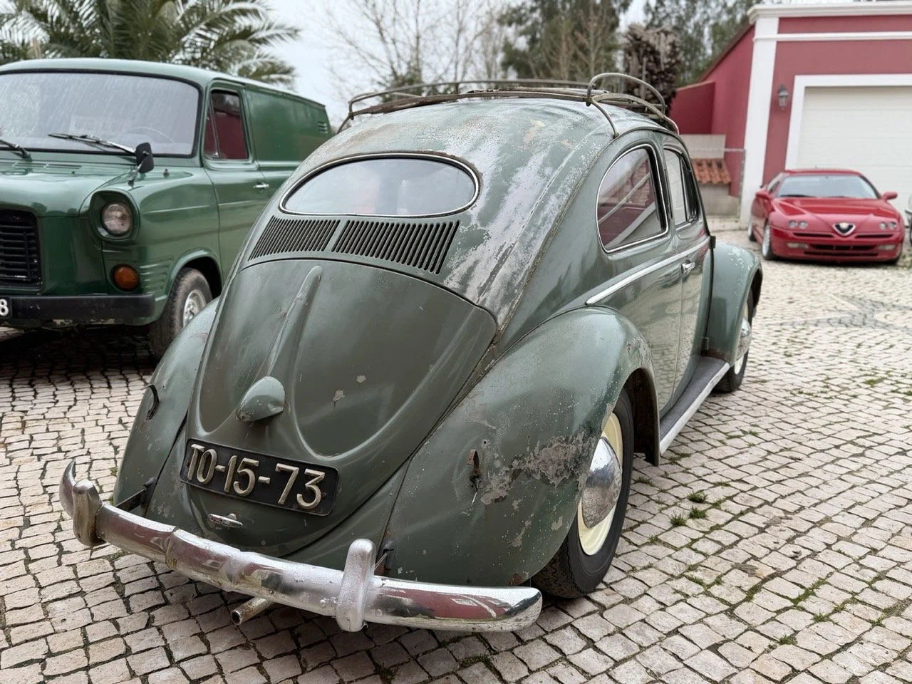 IMG_1106 – grande.jpeg