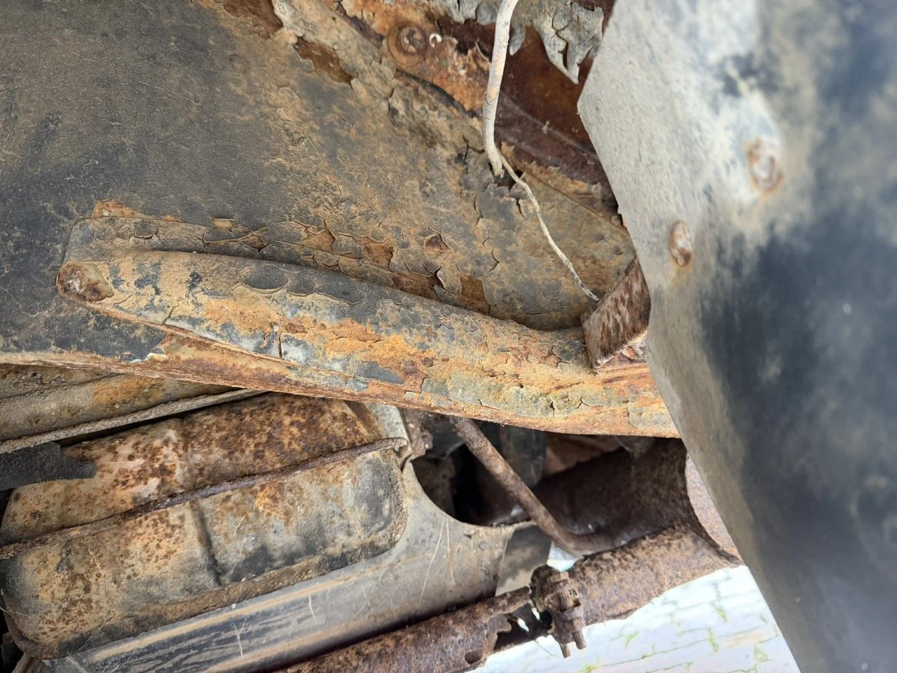 IMG_1240 – grande.jpeg