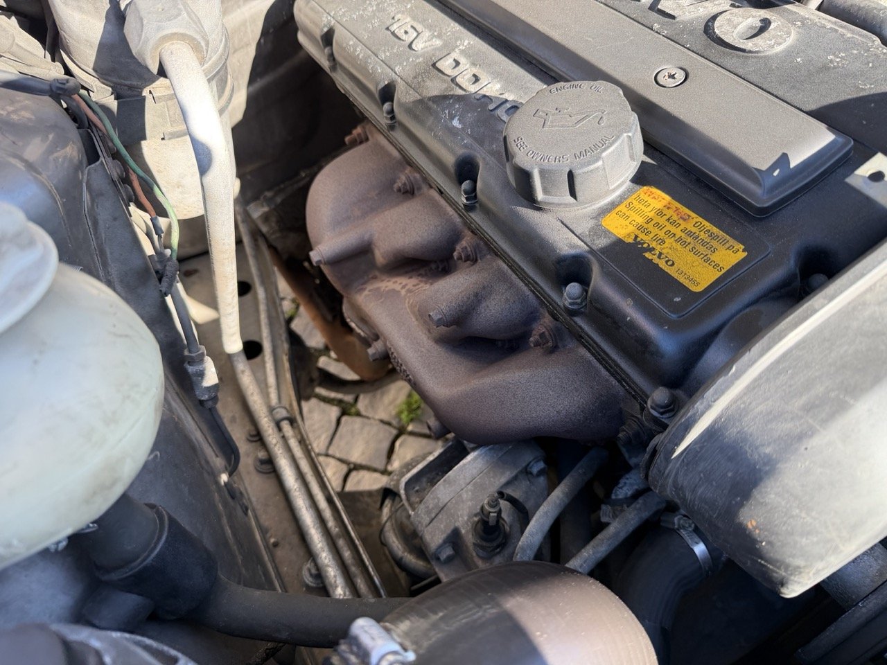 IMG_1984 – grande.jpeg