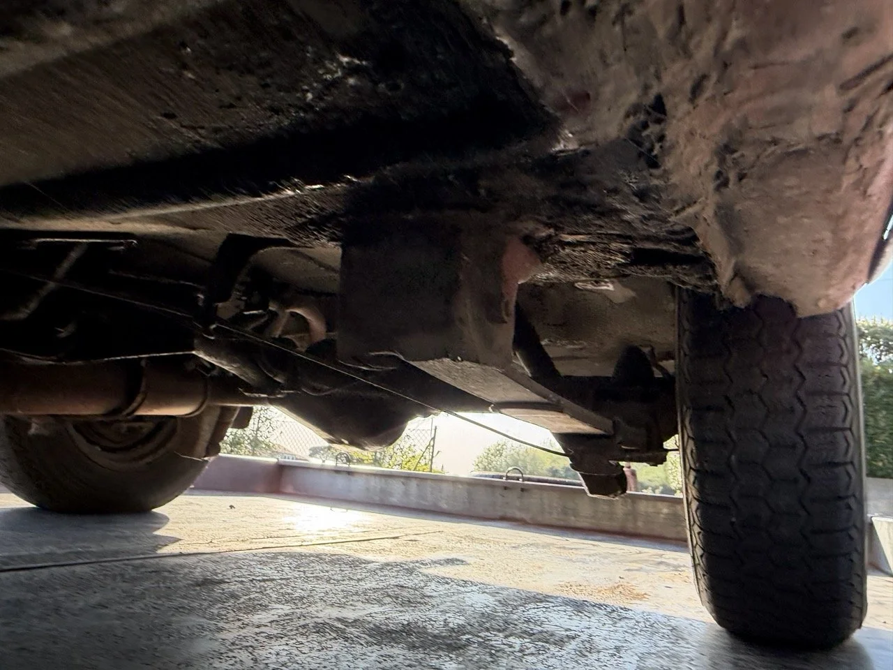 IMG_9076 – grande.jpeg