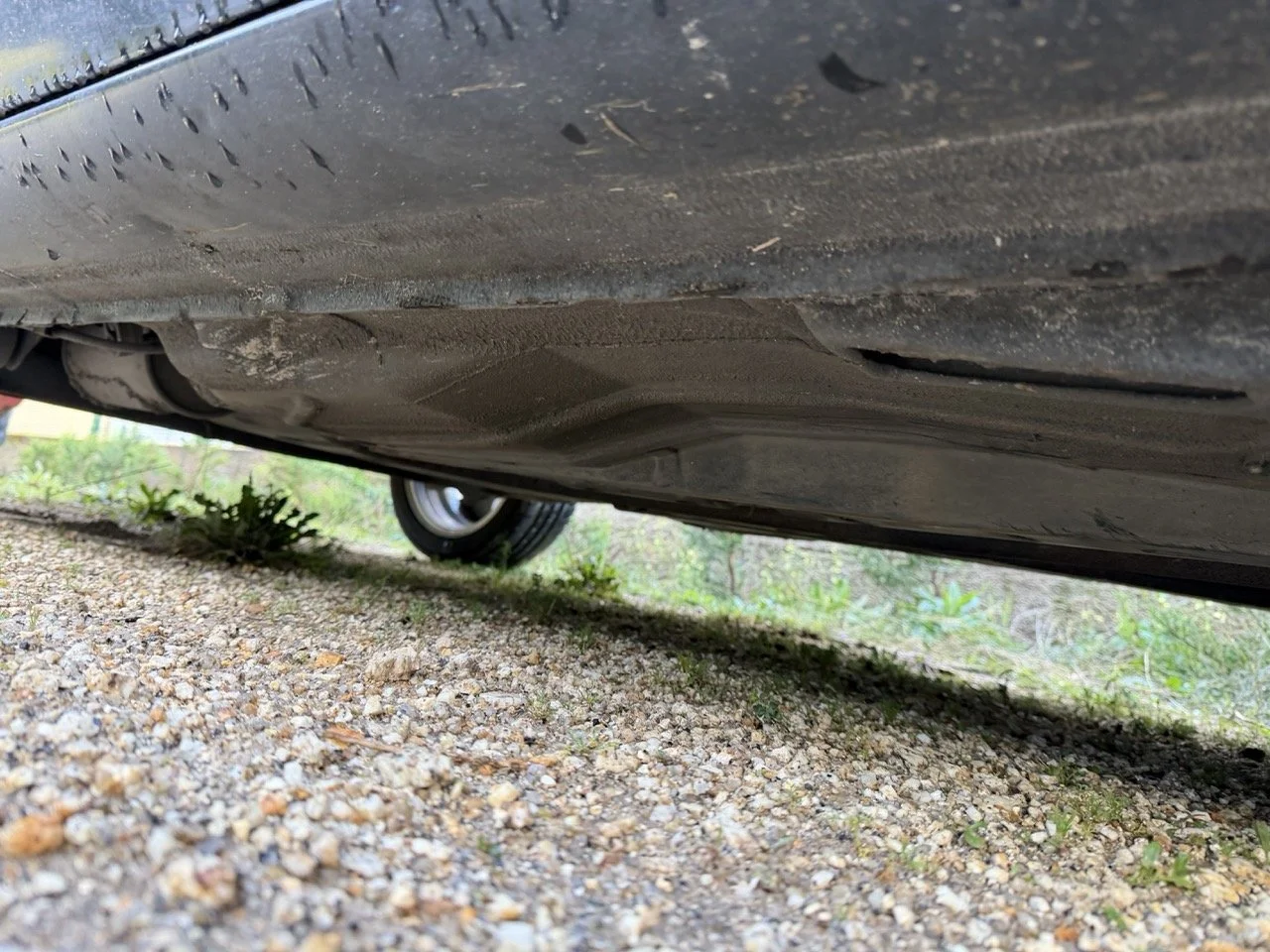 IMG_5328 – grande.jpeg