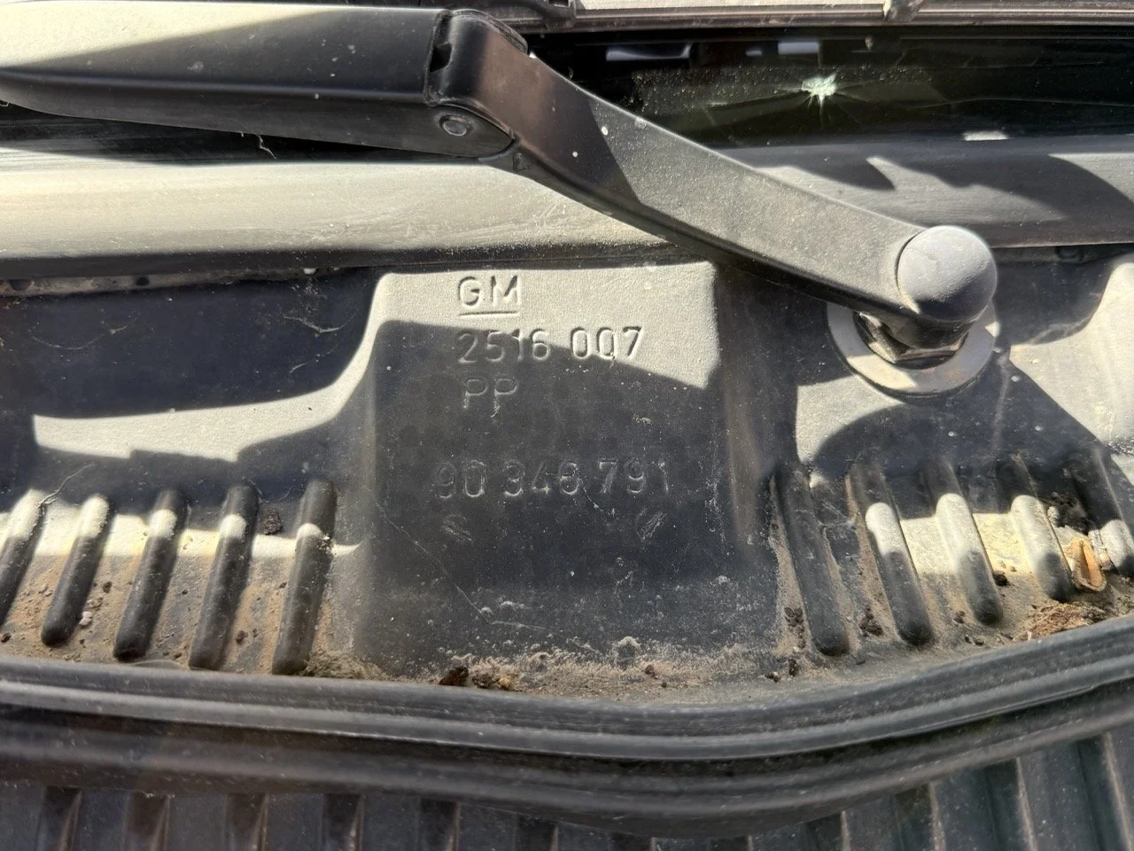 IMG_2434 – grande.jpeg