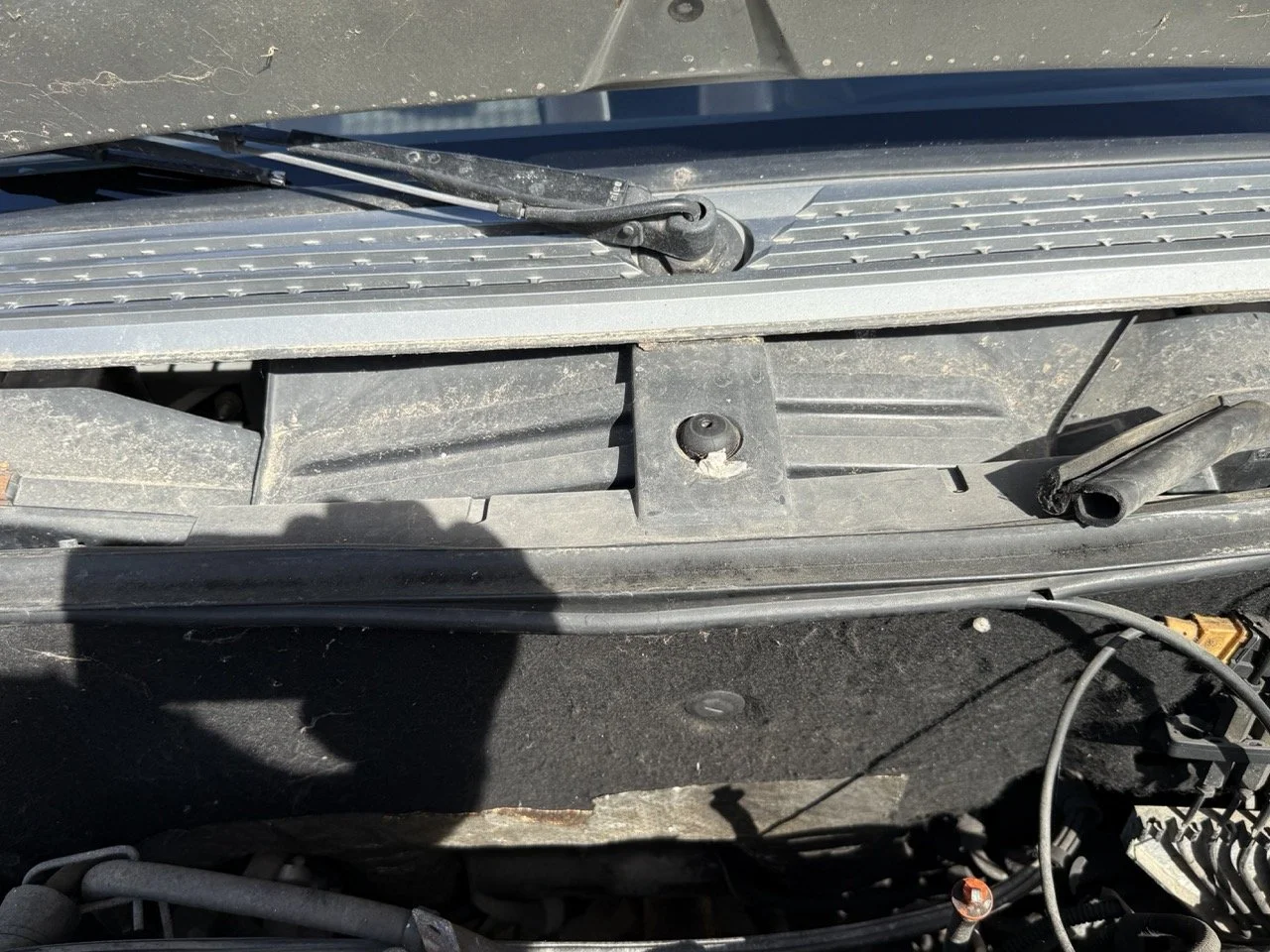 IMG_2559 – grande.jpeg