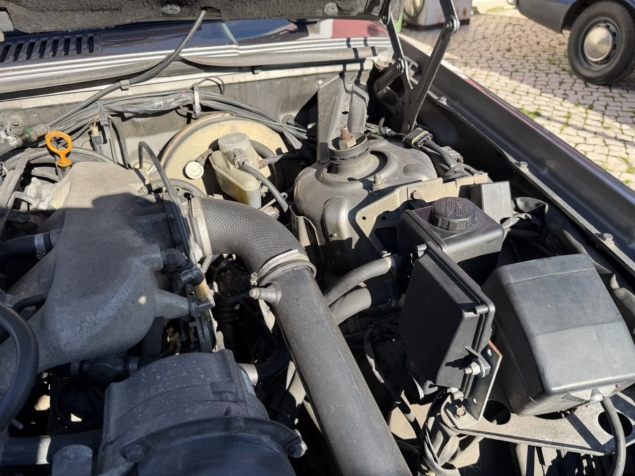 IMG_1987 – grande.jpeg