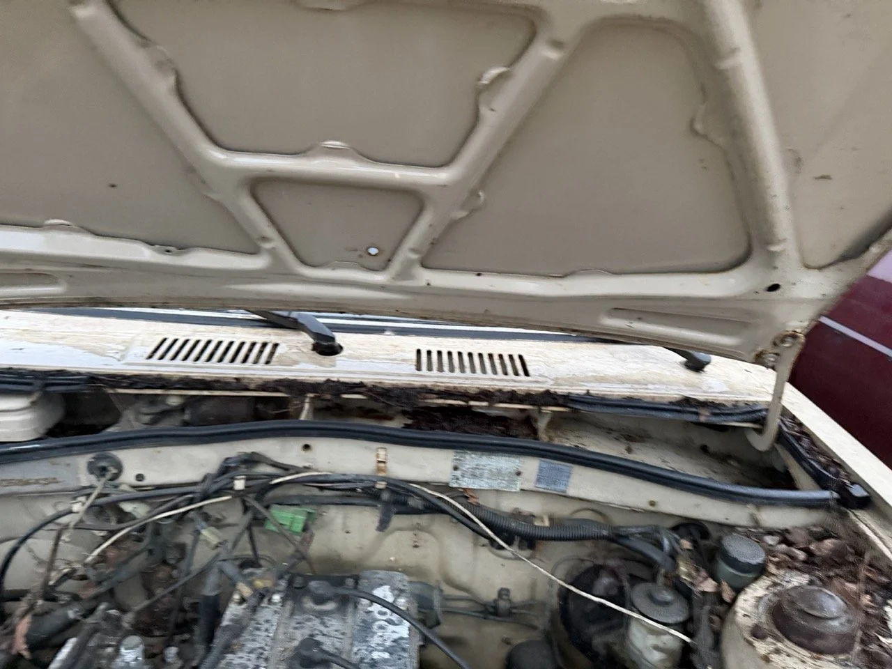 IMG_0256 – grande.jpeg