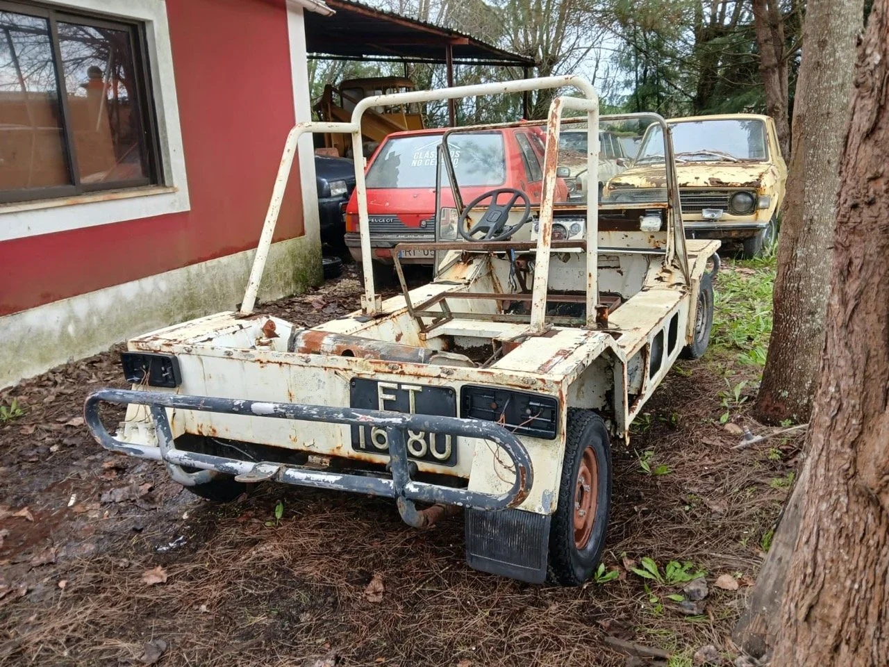 aa2bf46e-251f-468b-9b4f-f391ee26db40 – grande.jpeg