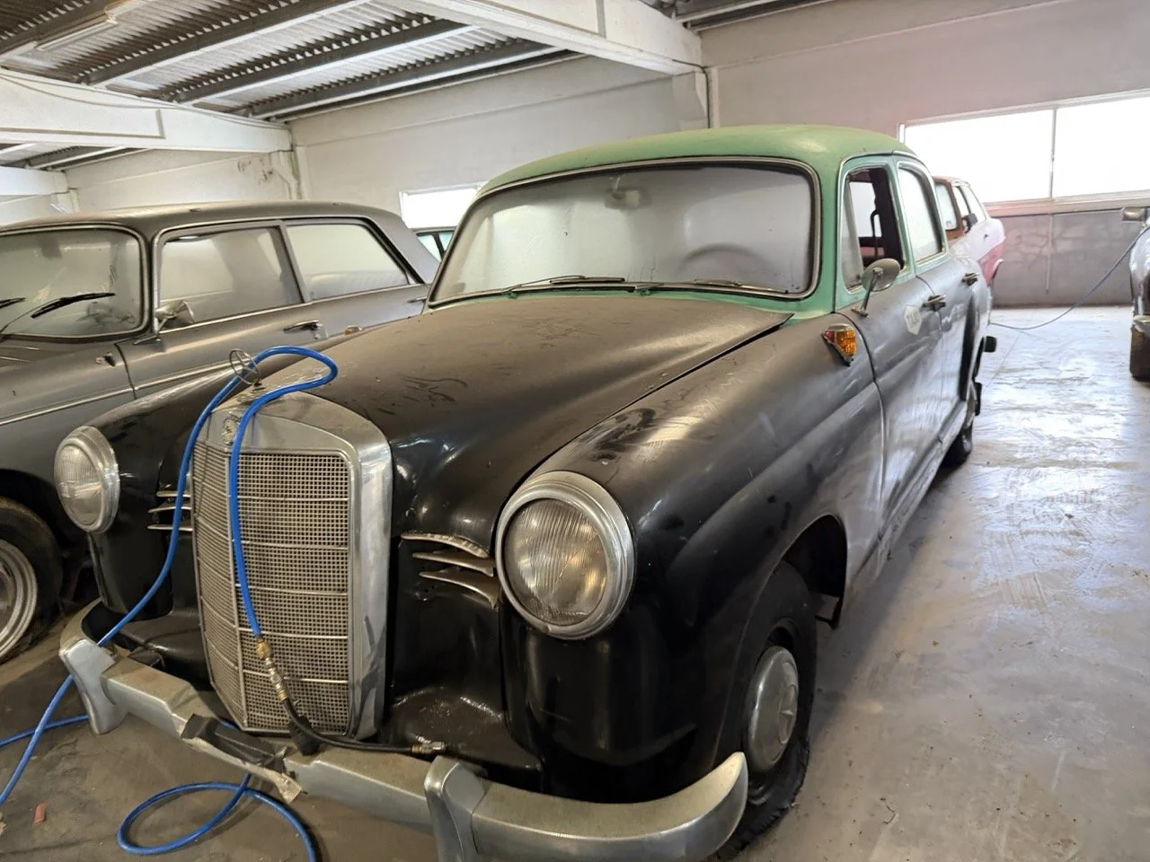 IMG_8346 – grande.jpeg