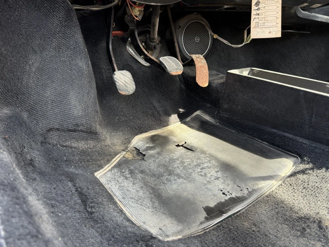 IMG_2374 – grande.jpeg