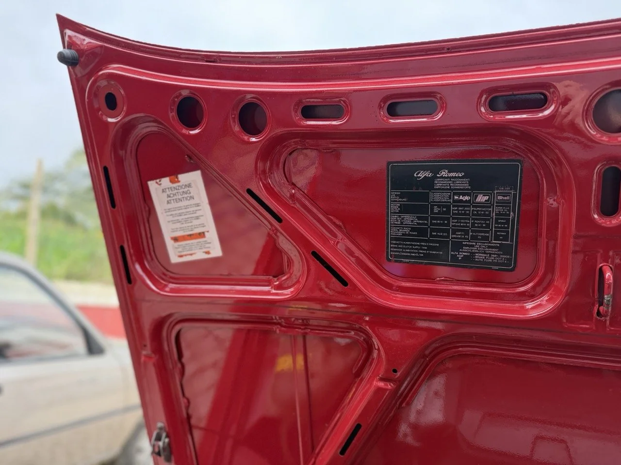 IMG_3482 – grande.jpeg