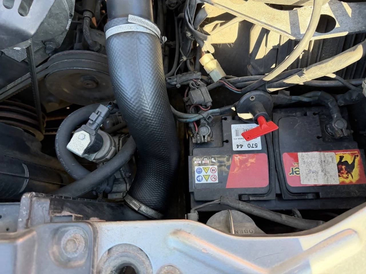 IMG_1990 – grande.jpeg