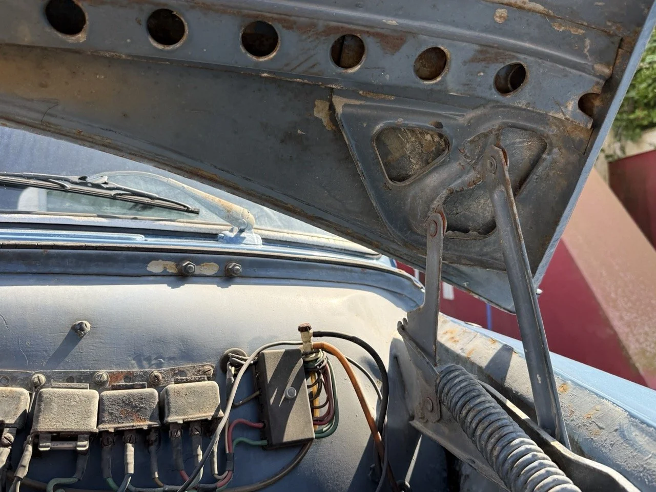 IMG_3525 – grande.jpeg