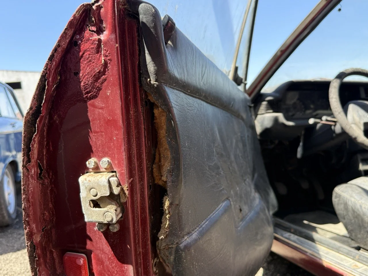 IMG_0937 – grande.jpeg