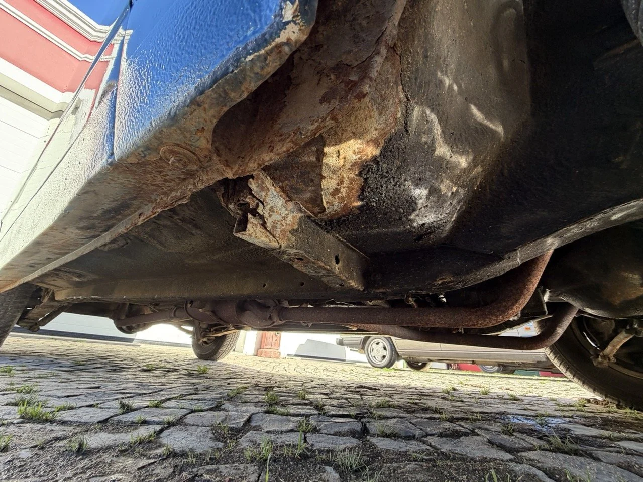 IMG_1895 – grande.jpeg