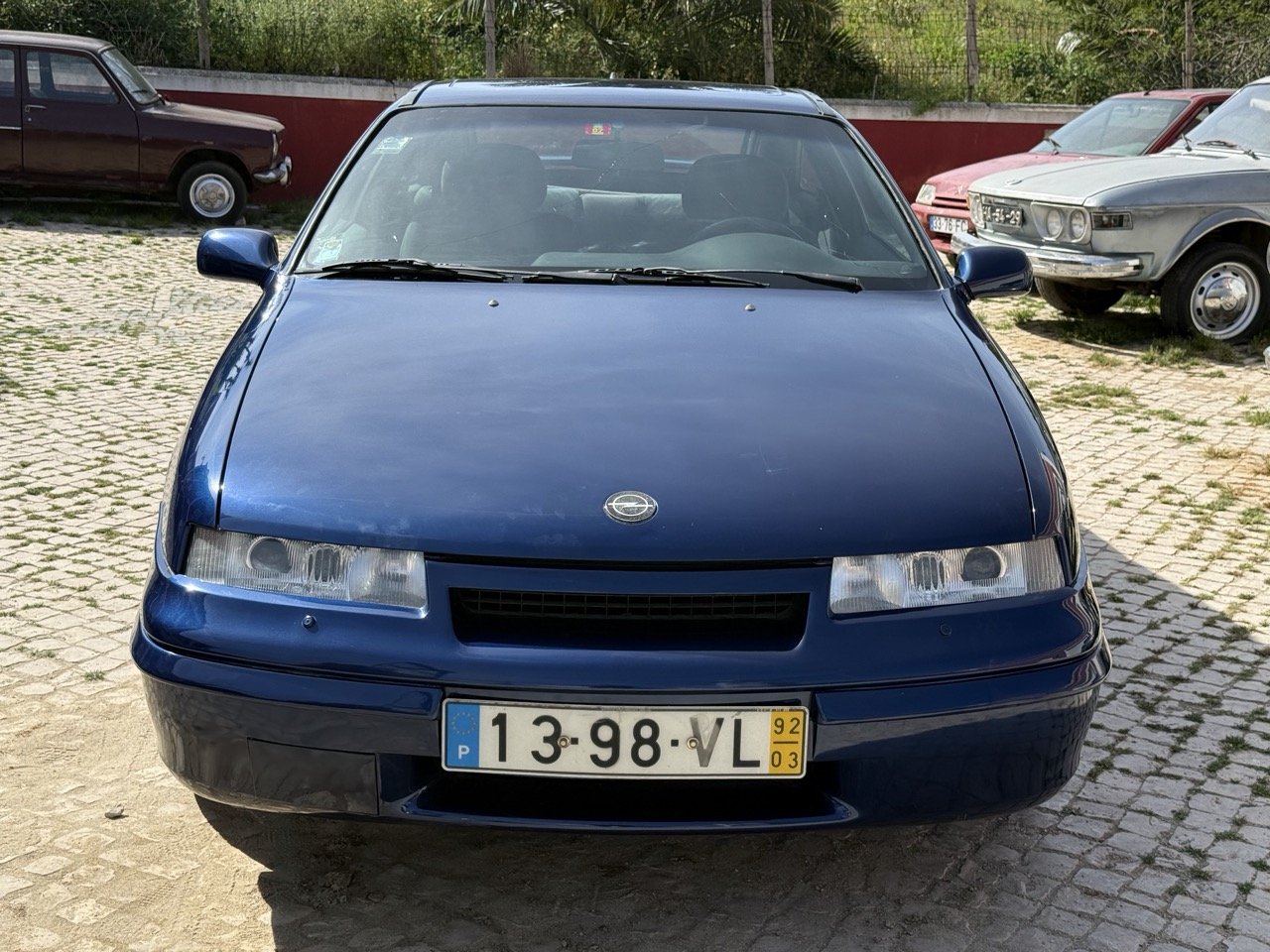 IMG_2386 – grande.jpeg