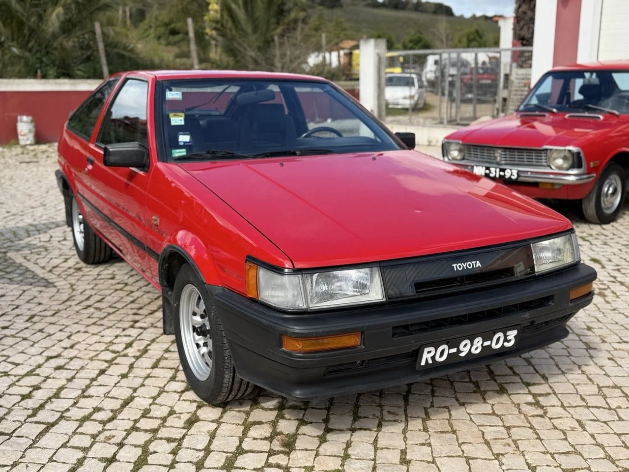 IMG_2289 – grande.jpeg