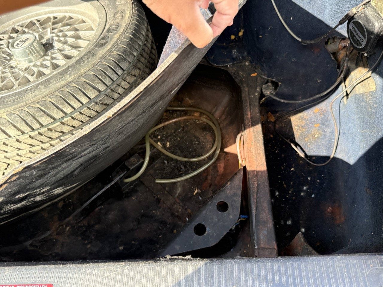 IMG_3398 – grande.jpeg