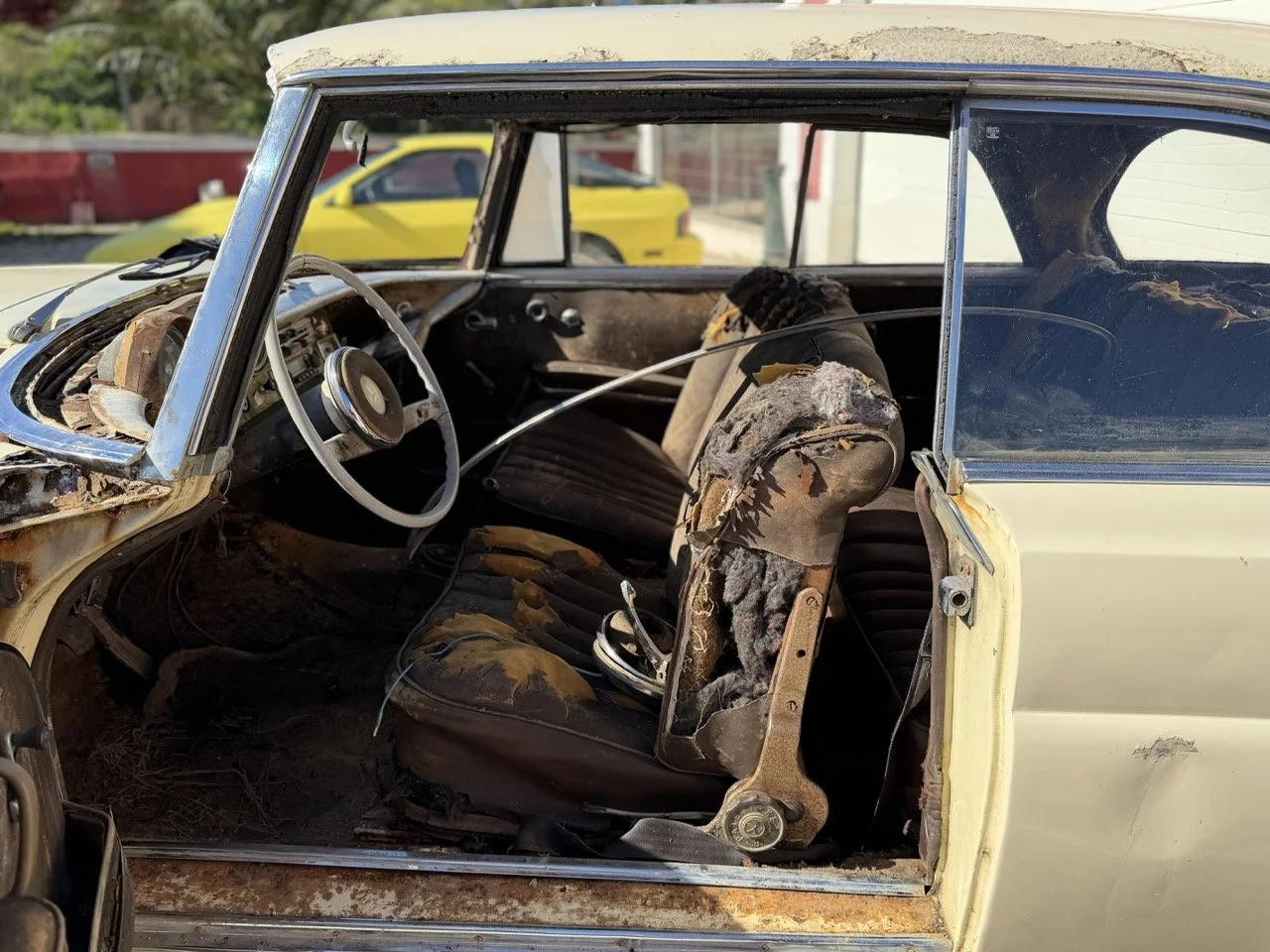 IMG_7008 – grande.jpeg