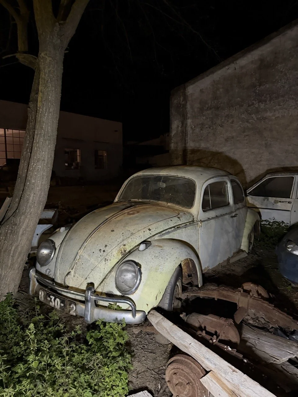 IMG_3071 – grande.jpeg