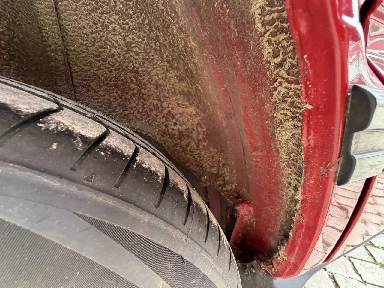 IMG_3538 – grande.jpeg