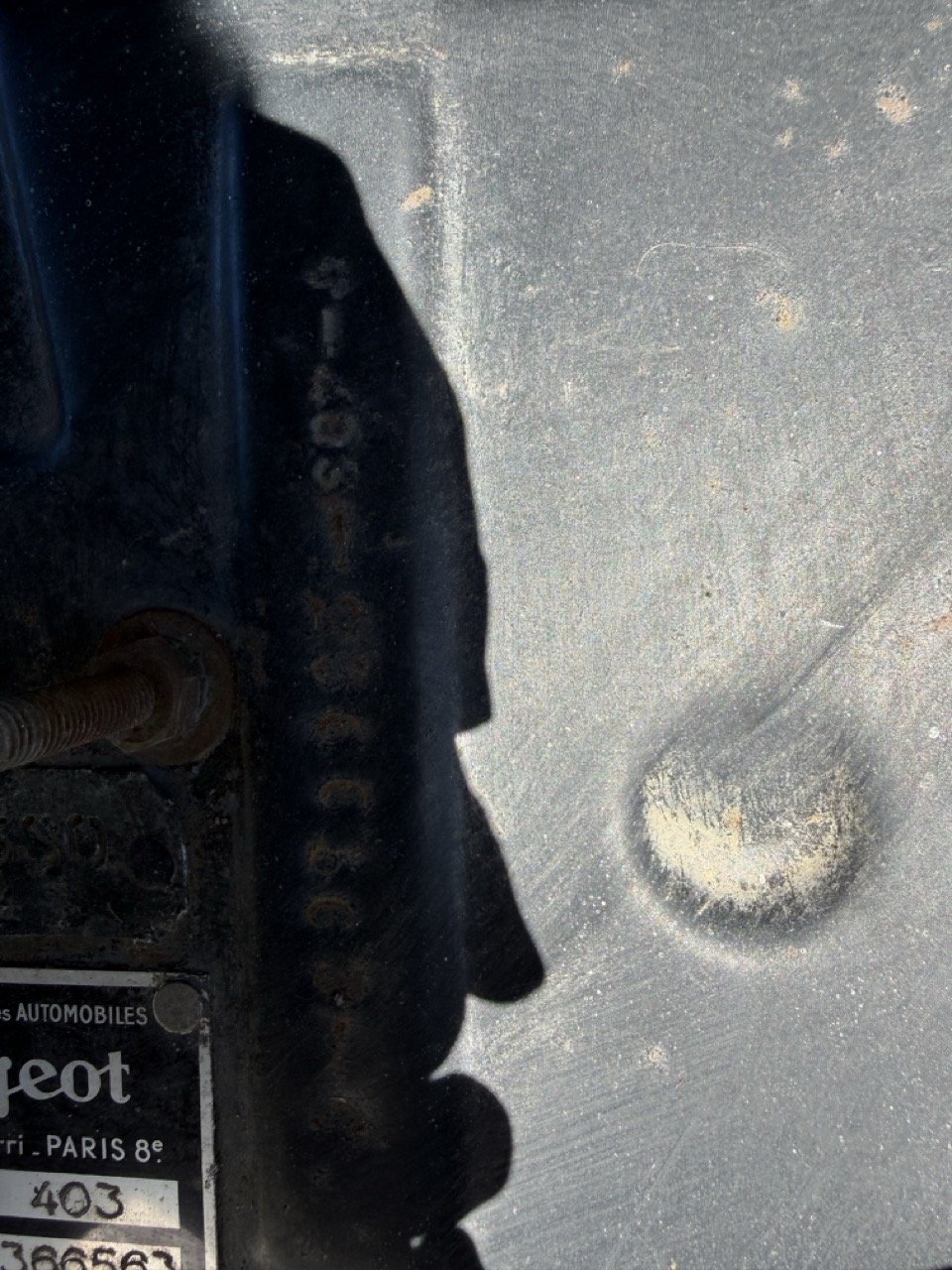 IMG_6674 – grande.jpeg