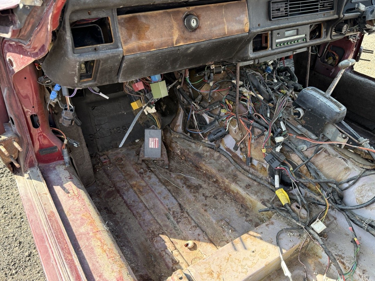 IMG_2990 – grande.jpeg