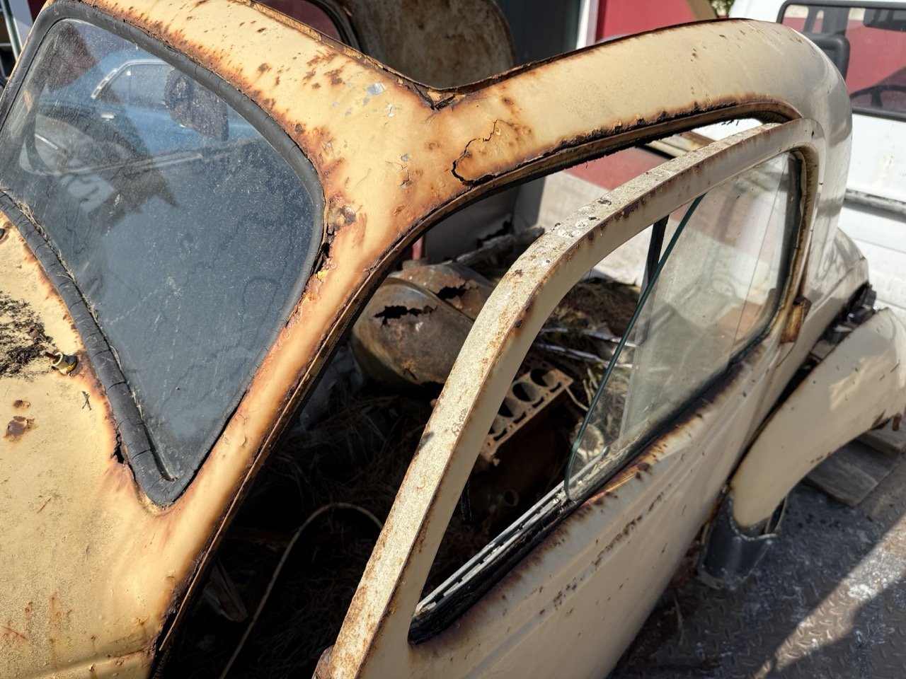 IMG_3167 – grande.jpeg