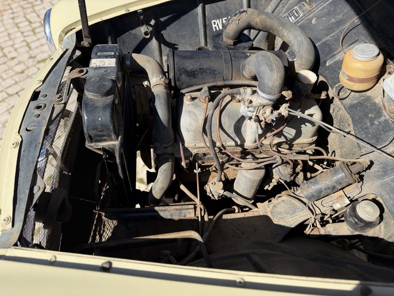 IMG_6668 – grande.jpeg