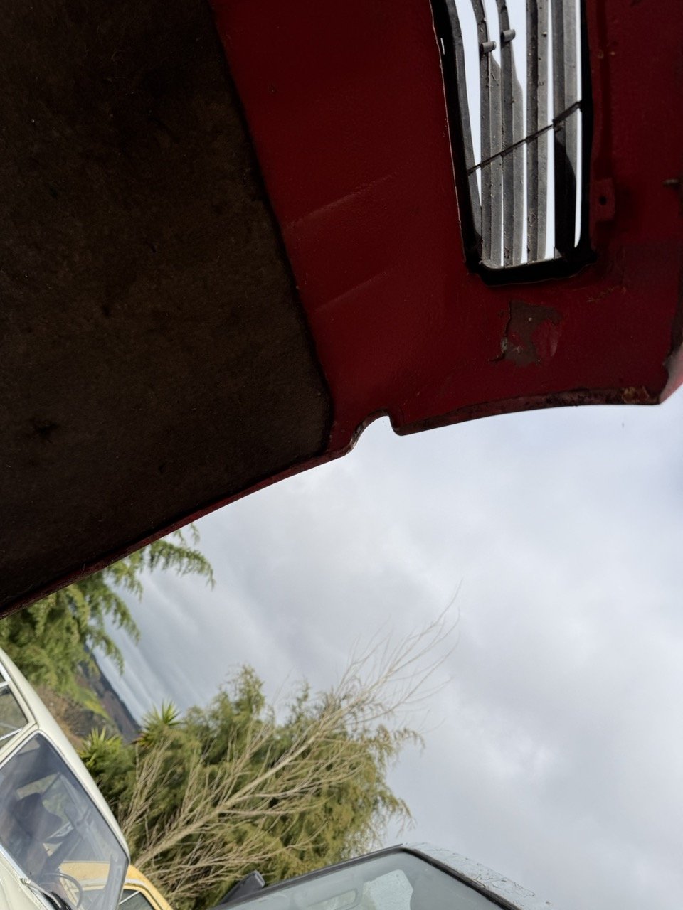 IMG_3870 – grande.jpeg