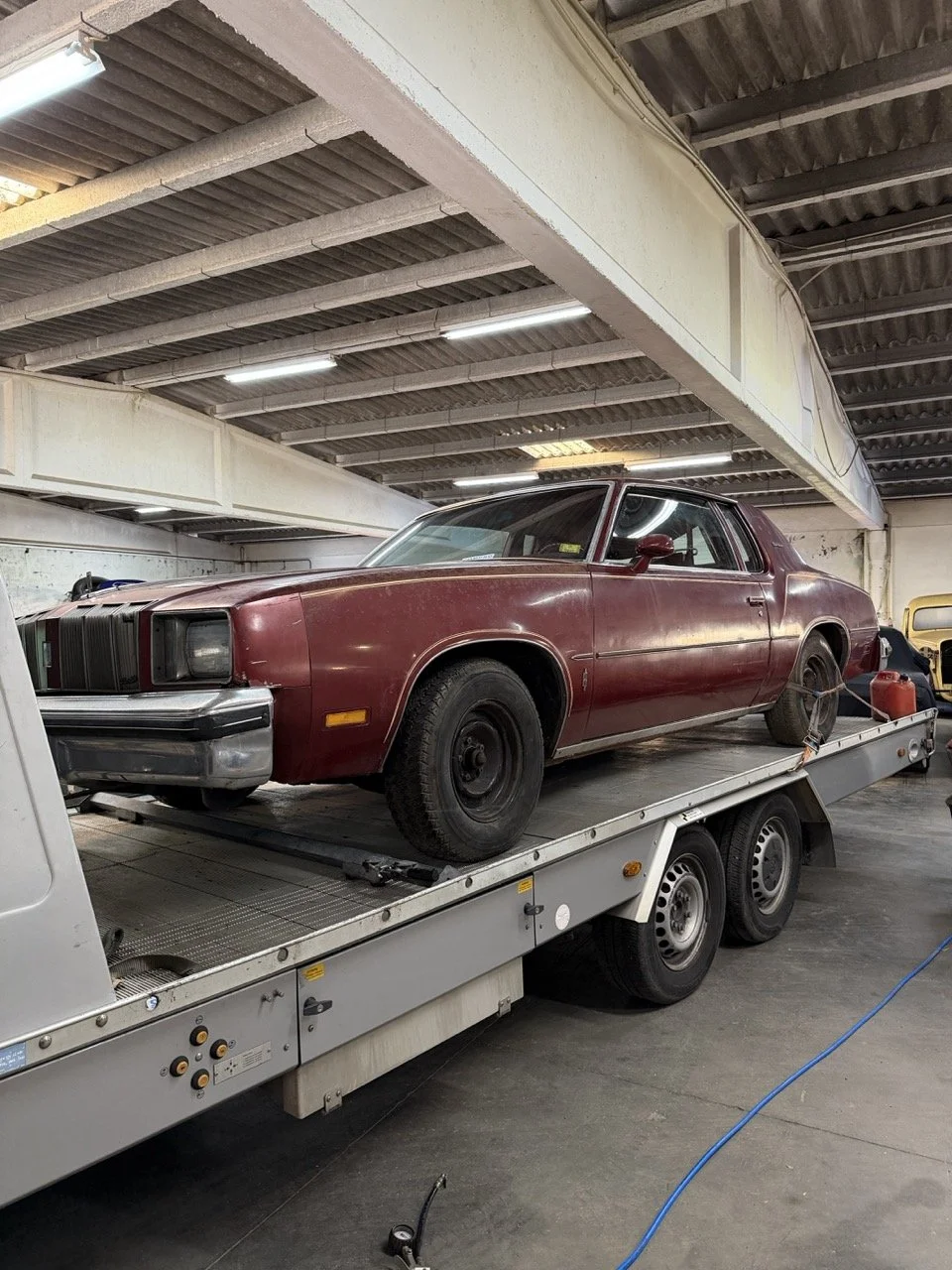 IMG_2035 2 – grande.jpeg