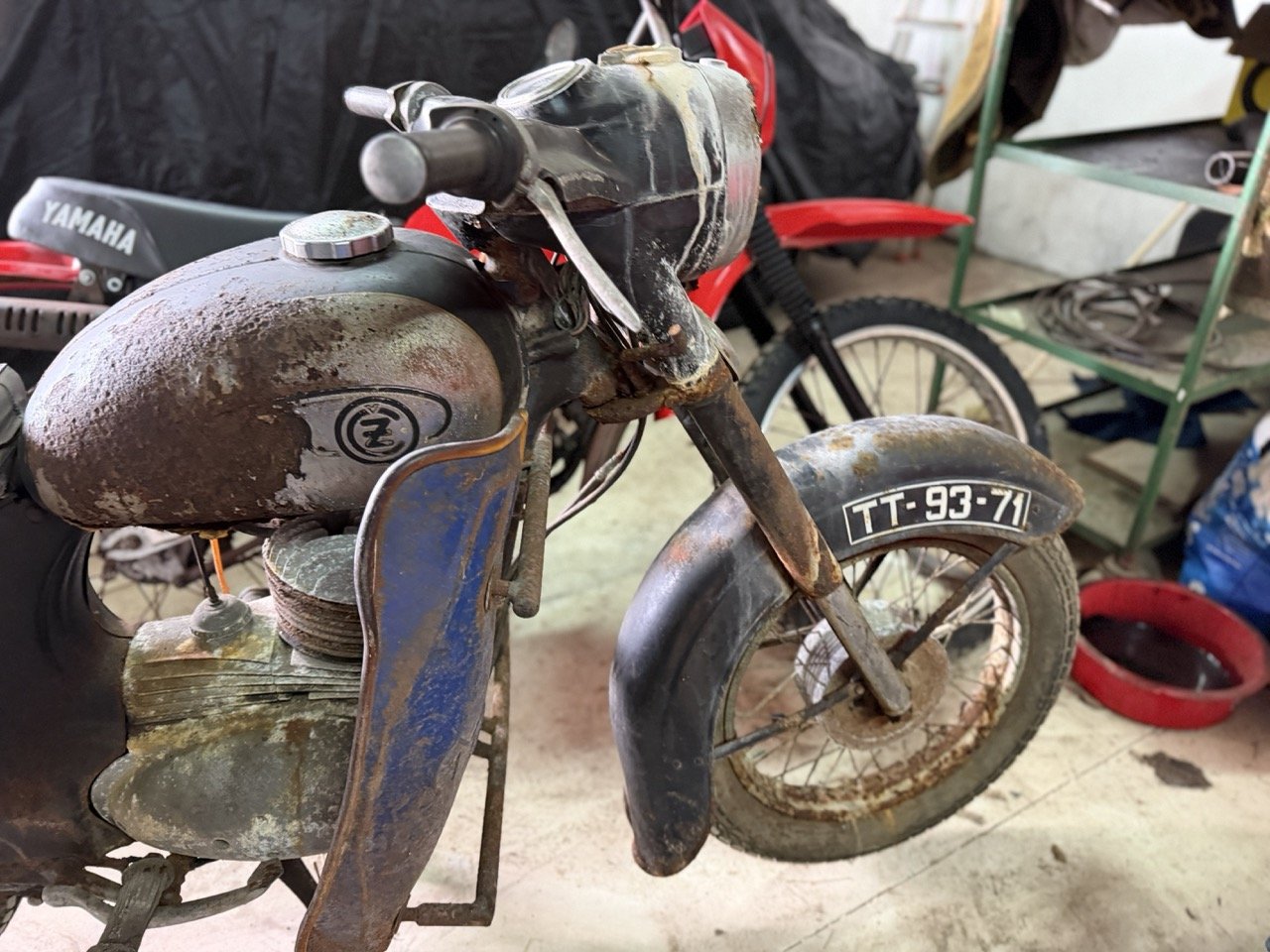 IMG_2169 – grande.jpeg