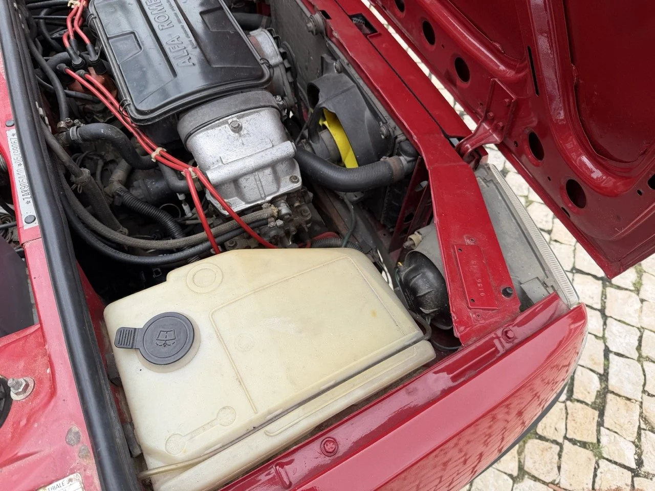 IMG_3483 – grande.jpeg