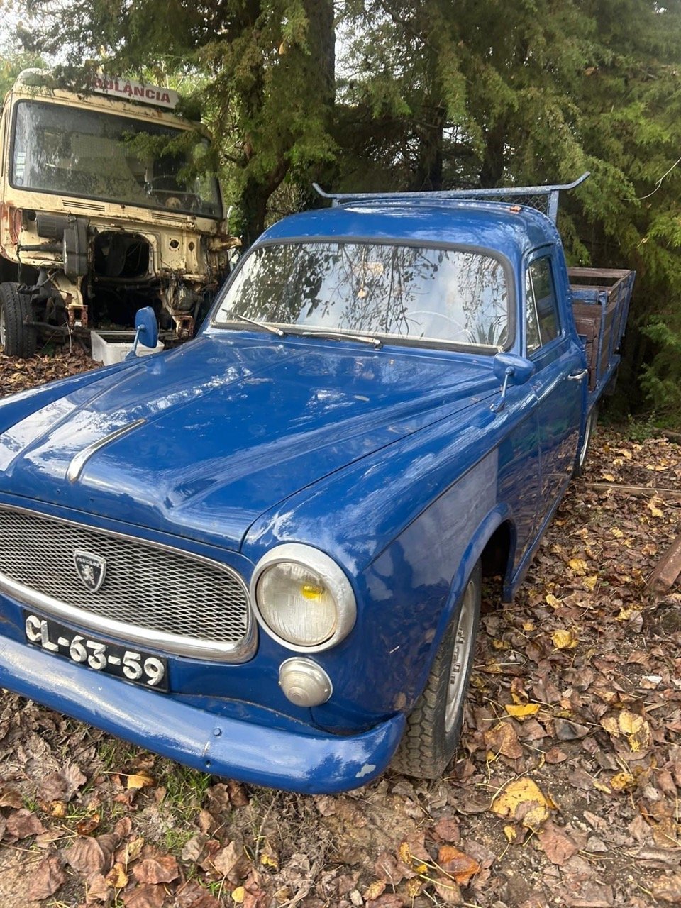 1ccadf9c-1c56-4b11-b2fb-e2fd92235af4 – grande.jpeg