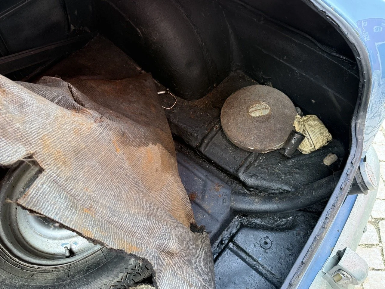 IMG_3530 – grande.jpeg