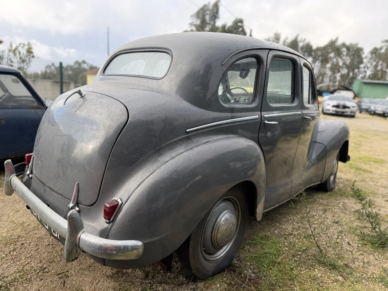 IMG_5625 – grande.jpeg